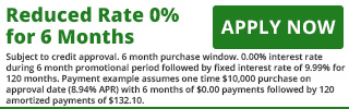 0% for 6 monhths