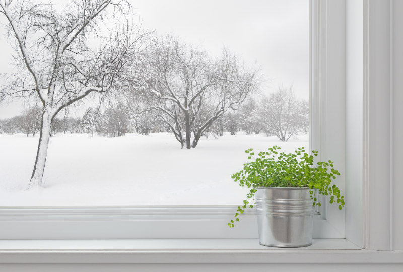 Winter Plan in Window